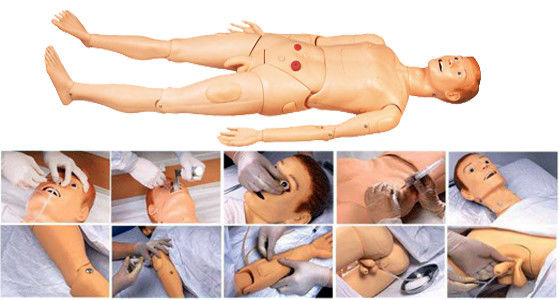 Catégories Pratique complète de soins infirmiers avec mannequin infirmier multifonctionnel