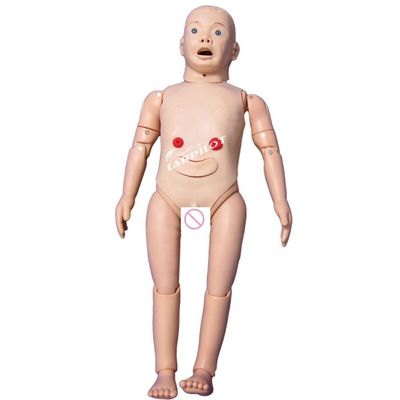Pédiatrie Modèle anatomique pour la formation en maternité et en pédiatrie des enfants de 3 ans