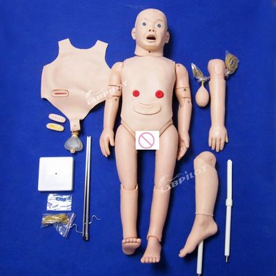 Pédiatrie Modèle anatomique pour la formation en maternité et en pédiatrie des enfants de 3 ans