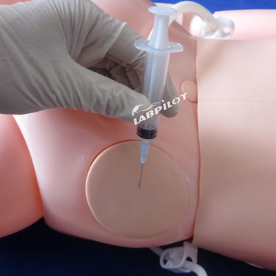Manikine de soins aux patients simple et hautement fonctionnelle destinée à la formation en sciences médicales