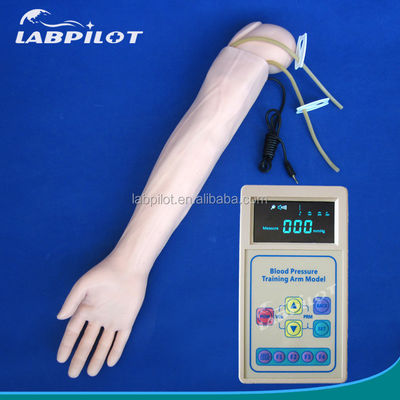 Manikine en PVC avancée pour la simulation du bras et la formation en mesure de la pression artérielle en pratique médicale