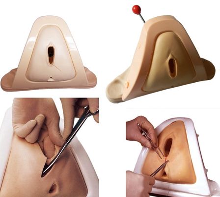 Démonstration de soins aux patients Simulateur de soins gynécologiques Modèle de formation sur les compétences en traitement périnéal