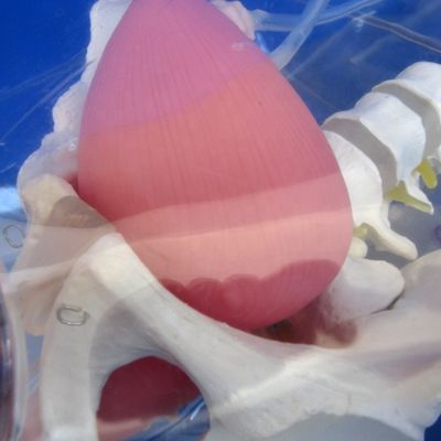 Entraîneur de cathétérisation urétrale féminine en PVC transparent avancé pour la formation en soins infirmiers