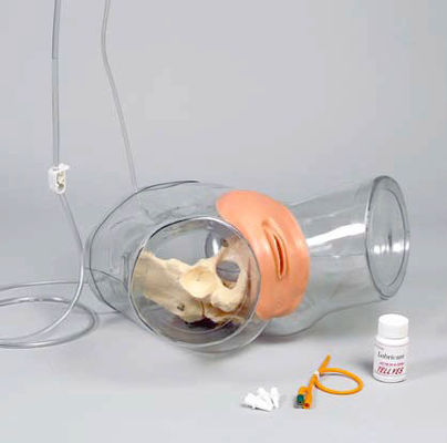 Entraîneur de cathétérisation urétrale féminine en PVC transparent avancé pour la formation en soins infirmiers