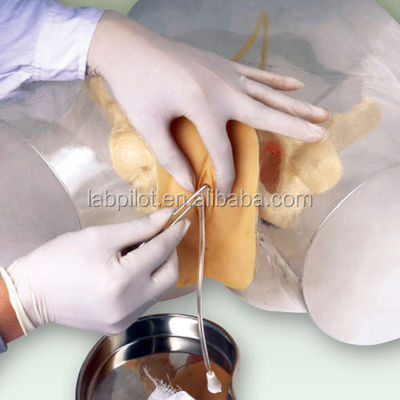 Entraîneur de cathétérisation urétrale féminine en PVC transparent avancé pour la formation en soins infirmiers