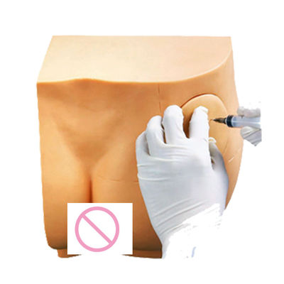 Formation en soins infirmiers cliniques Formateur simple en injection de hanche Modèle d'enseignement en injection IM