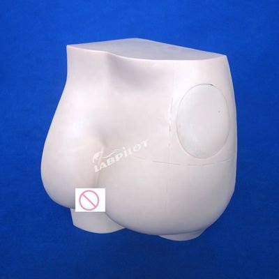 Formation en soins infirmiers cliniques Formateur simple en injection de hanche Modèle d'enseignement en injection IM