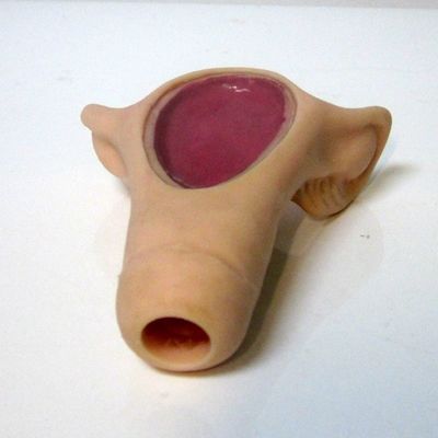 Démonstration de soins aux patients Compact Dresseur d'insertion de DIU portatif pour la science médicale