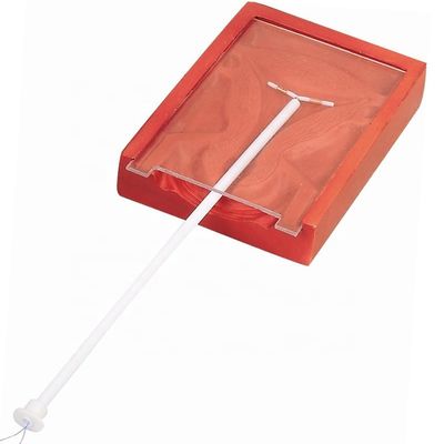 Médecine de l'obstétrique et de la gynécologie Enseignement de l'insertion du DIU Entraîneur pour les soins aux patients