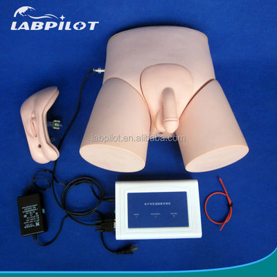 Simulateurs d'enseignement médical Formation en cathétérisation des adultes avec moniteur d'intubation