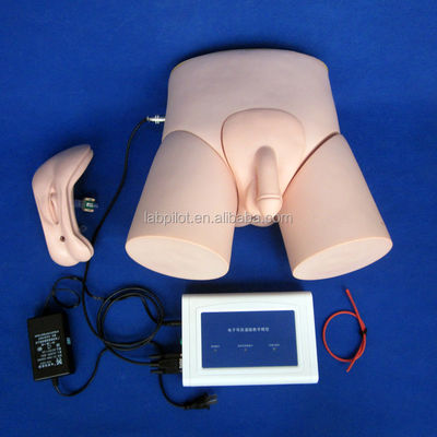 Simulateurs d'enseignement médical Formation en cathétérisation des adultes avec moniteur d'intubation