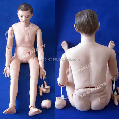 Modèle de formation clinique complète de taille humaine pour les professionnels de la santé