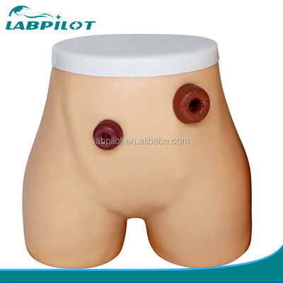 Modèle avancé de soins infirmiers en ostomie PVC pour la formation en iléostomie et en colostomie dans les hôpitaux