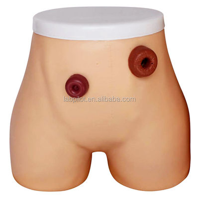 Modèle avancé de soins infirmiers en ostomie PVC pour la formation en iléostomie et en colostomie dans les hôpitaux