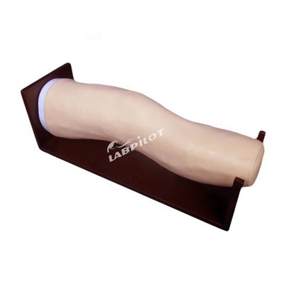 Modèle avancé de genou en PVC pour les injections intra-articulaires et l'entraînement à l'aspiration articulaire