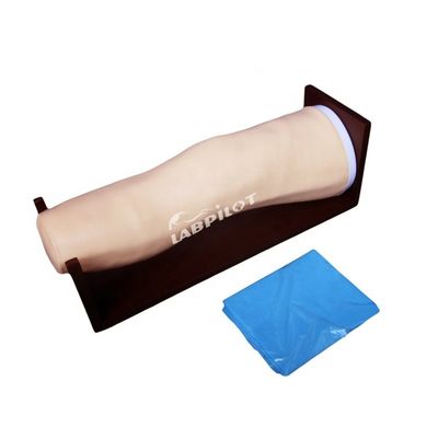 Modèle avancé de genou en PVC pour les injections intra-articulaires et l'entraînement à l'aspiration articulaire