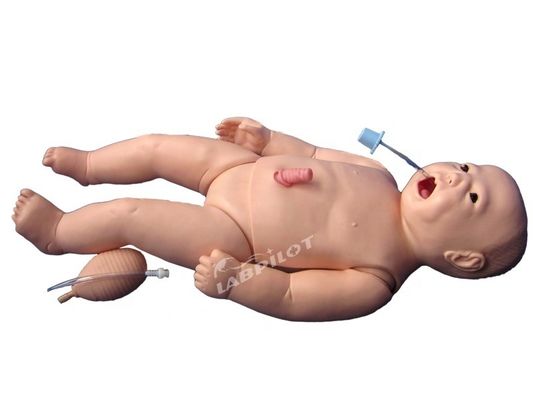 ACLS Néonatal Nursing Manikin Taille de la vie humaine Sujet pour l'enseignement des sciences médicales