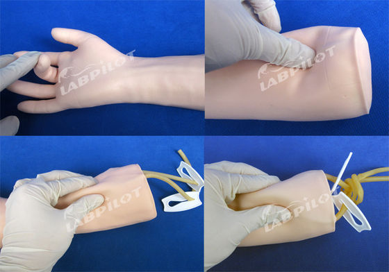 Modèle de formation à l'injection pour l'enseignement de la perfusion intraveineuse et de la transfusion sanguine