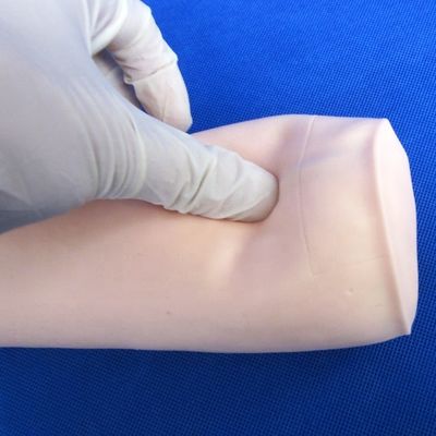 Science médicale Économie Vénécturation douce et IV Injection Enseignement Modèle Simulateur de ponction du coude
