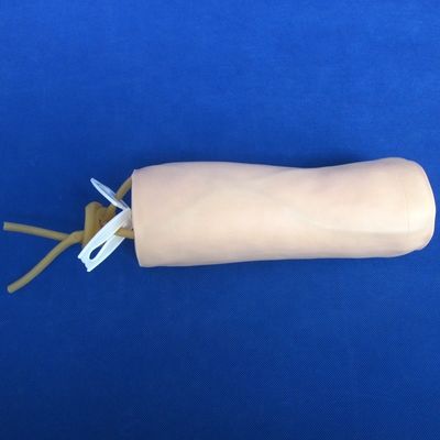 Science médicale Économie Vénécturation douce et IV Injection Enseignement Modèle Simulateur de ponction du coude