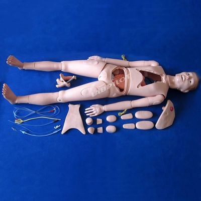 Démonstration de soins aux patients Science médicale avancée Manivelle infirmière avec organes internes
