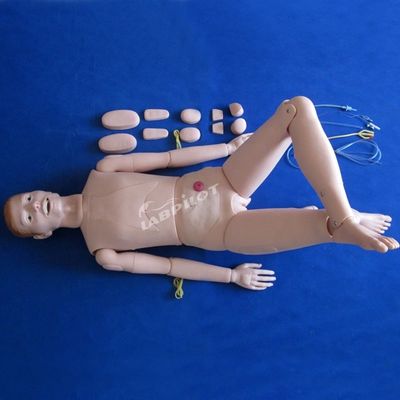 Démonstration de soins aux patients Science médicale avancée Manivelle infirmière avec organes internes