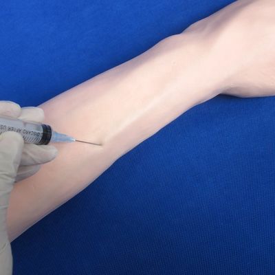 Formation complète à la vénénecture: modèle de taille du bras humain pour les injections IV et IM