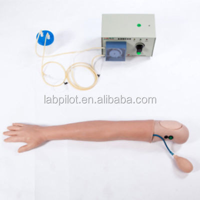 Modèle de bras humain simulé à l'hémodialyse avancée pour les modèles de formation en soins infirmiers cliniques