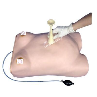 Modèle de mannequin de palpation électronique de la maternité avec fonction d'auscultation gynécologique
