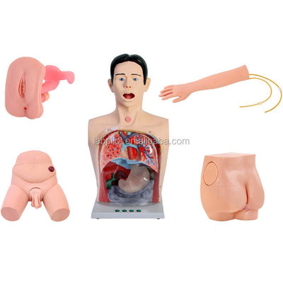 Simulateur de lavage gastrique et d'alimentation nasale transparent pour l'enseignement des soins infirmiers cliniques