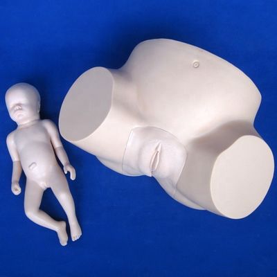 Simulateur de grossesse et d'accouchement de mannequin de PVC avancé pour la formation à l'extraction sous vide