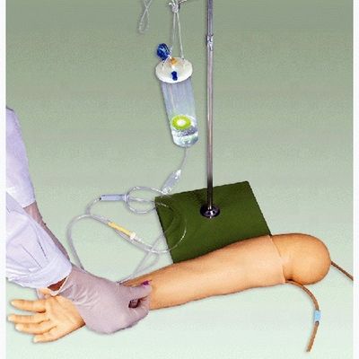Modèle de bras d'entraînement à la perfusion intraveineuse de matériau PVC avancé pour enfants de 4 ans