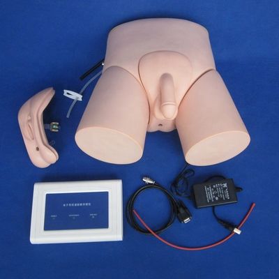 Modèle de formation en cathétérisation urétrale électronique pour hommes et femmes