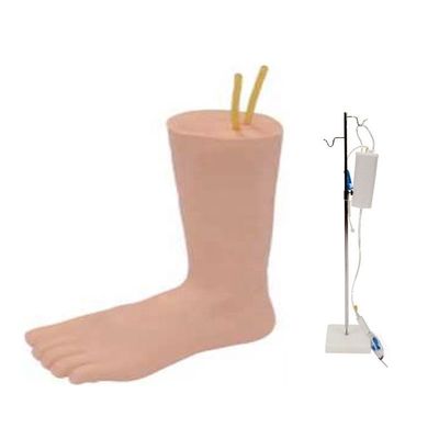 Modèle de pied efficace pour l'enseignement de la vénénecture intraveineuse dans l'enseignement des soins infirmiers cliniques