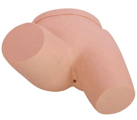 Améliorer la formation en soins infirmiers cliniques avec le modèle de formation en simulateur de lavement