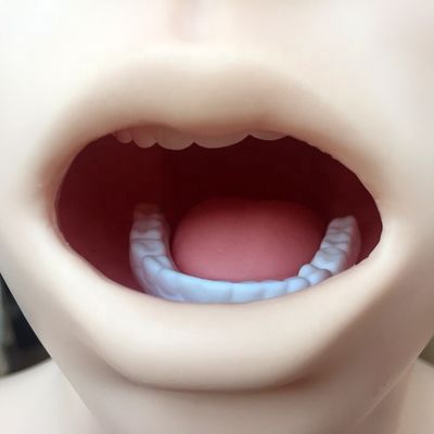 Modèle de lavage gastrique transparent Simulateur de tube d'alimentation nasal pour la formation infirmière