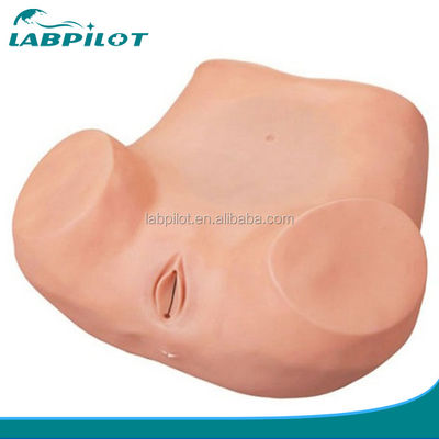 Simulateur de formation à l'examen gynécologique en matière d'éducation à la santé des femmes avec matériel PVC avancé