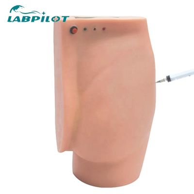 Démonstration de soins aux patients fesses Simulateur d'enseignement d'injection avec lumières d'avertissement