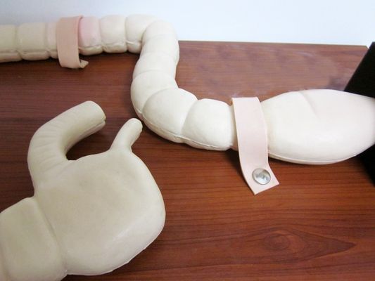 Manikine pour l'examen du sigmoïdoscope Formation au simulateur de modèle d'intestin avancé