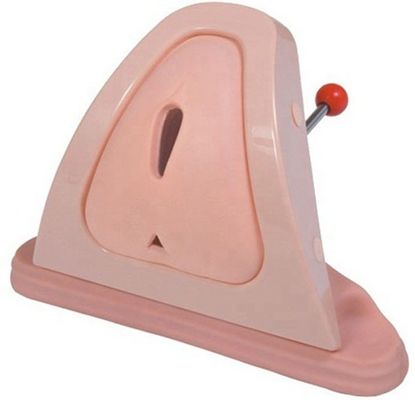 Démonstration de soins aux patients Simulateur de soins gynécologiques Modèle de formation sur les compétences en traitement périnéal