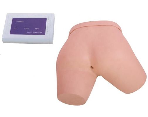 Simulateurs d'enseignement des sciences médicales Simulateur de lavement électronique Modèle de formation en soins infirmiers