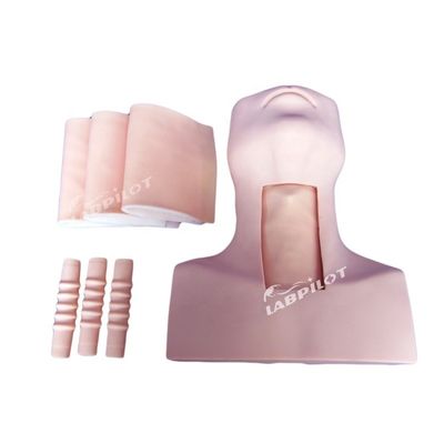 Science médicale Trachéostomie Formation infirmière mannequin Optimale pour l'éducation