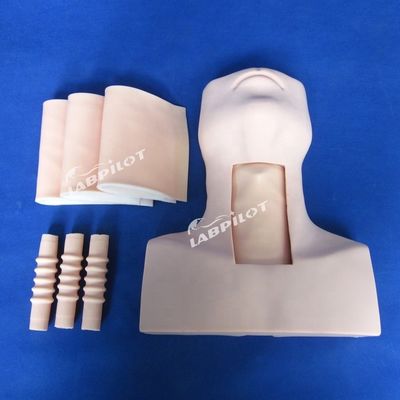 Science médicale Trachéostomie Formation infirmière mannequin Optimale pour l'éducation
