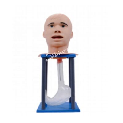 Adultes lavage gastrique mannequin insertion de tubes d'alimentation nasale poupée d'allaitement