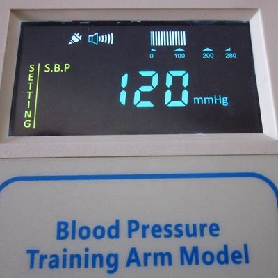 Taille humaine, fonctionnelle, mannequin de soins infirmiers pour adultes avec simulateur de pression artérielle