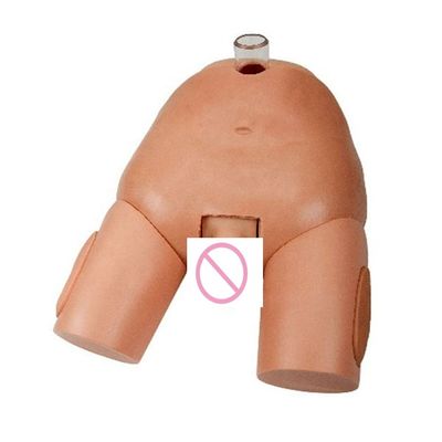 Simulateur d'opération de ponction urinaire féminine en PVC pour les compétences en cathétérisation