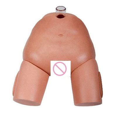 Simulateur d'opération de ponction urinaire féminine en PVC pour les compétences en cathétérisation