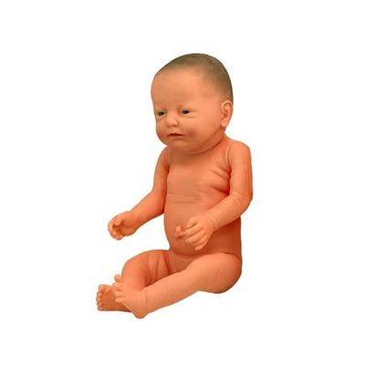 Modèle de formation de l'école d'infirmière économique avec articulations flexibles et caractéristiques réalistes