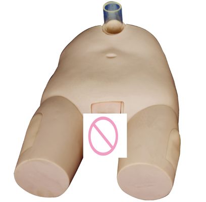 Modèle de formation sur l'irrigation de la vessie PVC mâle/femme Compétences de cathétérisation et simulateur d'opération de ponction