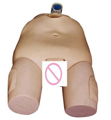 Modèle de formation sur l'irrigation de la vessie PVC mâle/femme Compétences de cathétérisation et simulateur d'opération de ponction